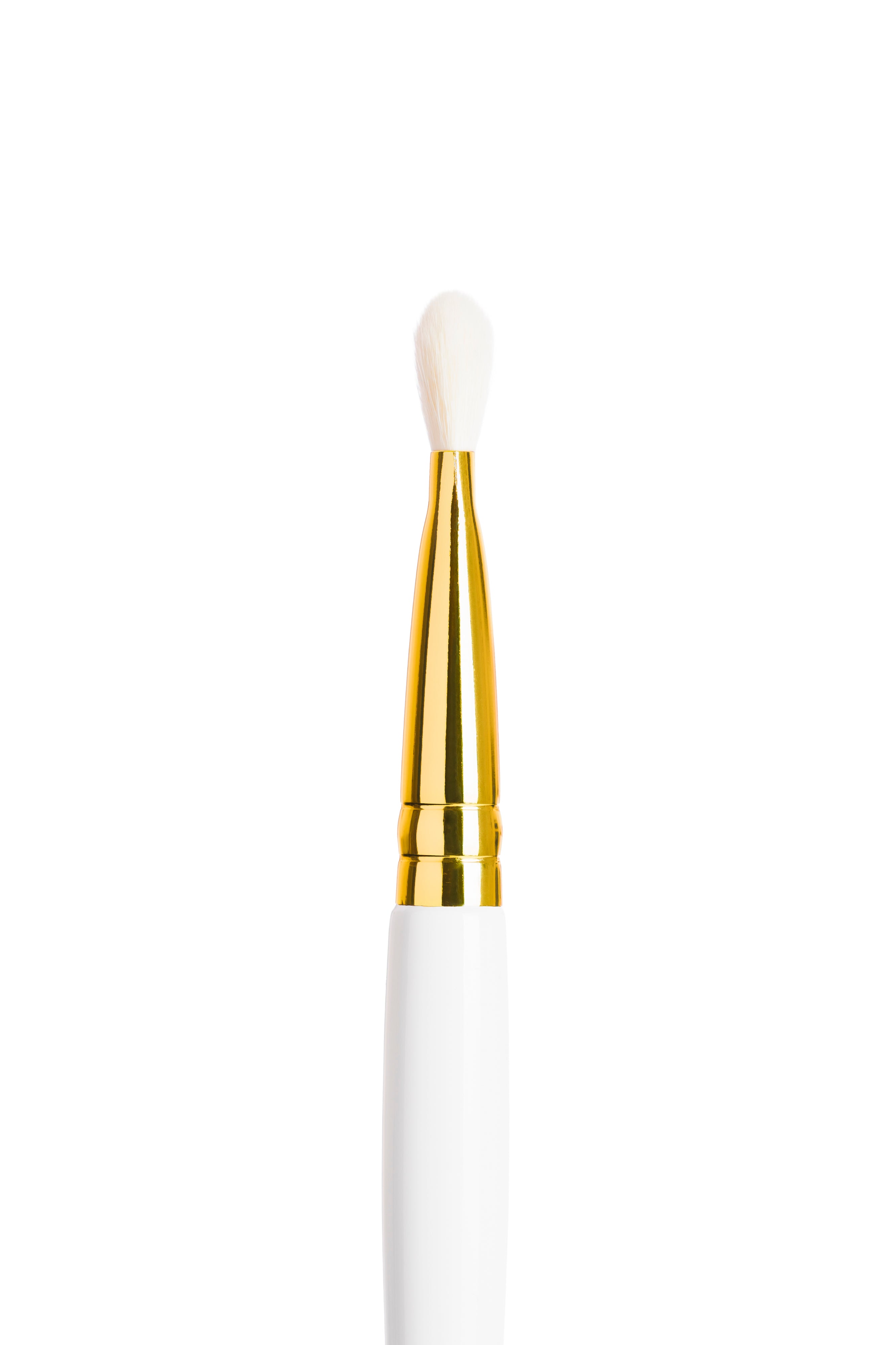 Wayne Goss outlet 00 Brush White